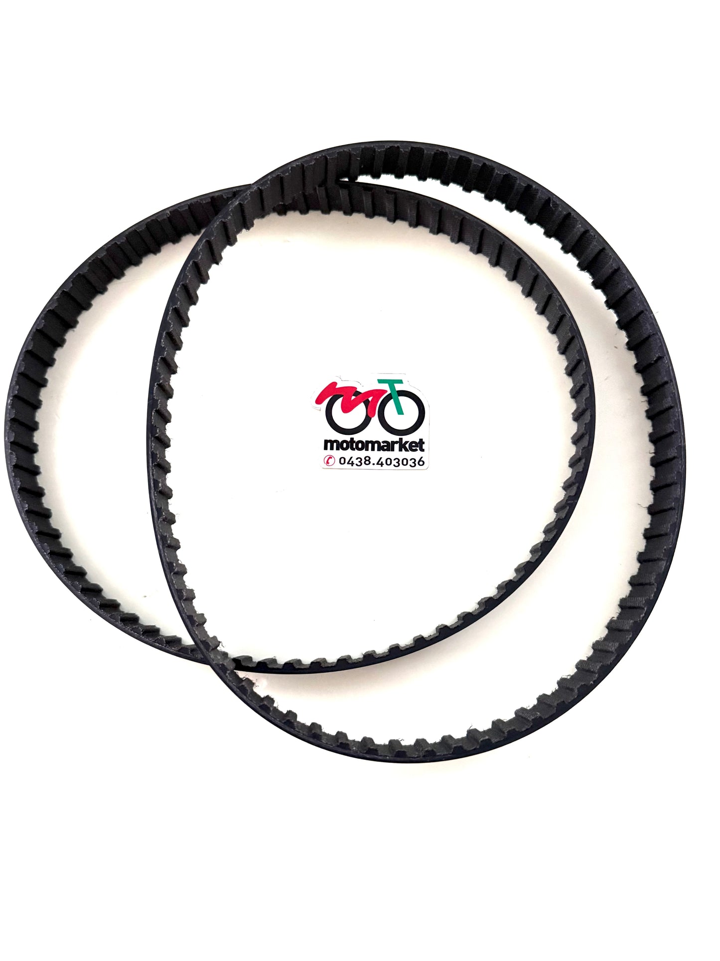 Cinghie distribuzione Ducati Monster-Indiana-Cagiva Elefant art.2765190