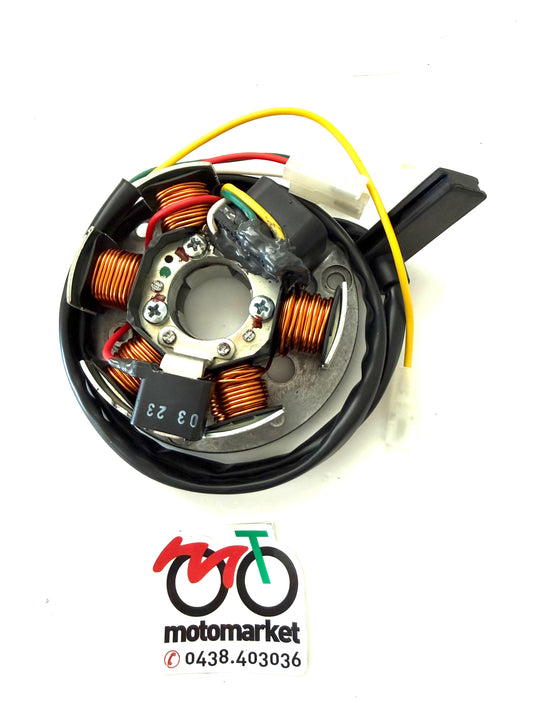 Statore con piastra Ducati 6 poli motore Minarelli AM6 50cc art 3196849