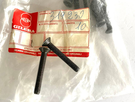 Vite Coperchio Pompa Freno Gilera Rx 125-200