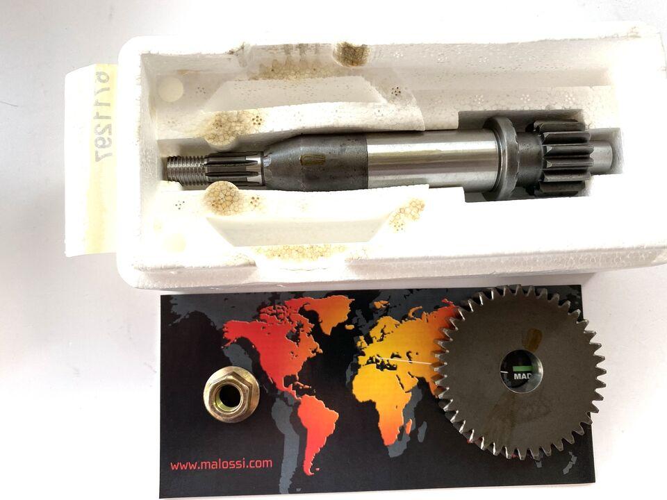 Rapporti allungati Aprilia SR-Scarabeo Ditech-Habana-Katana 50