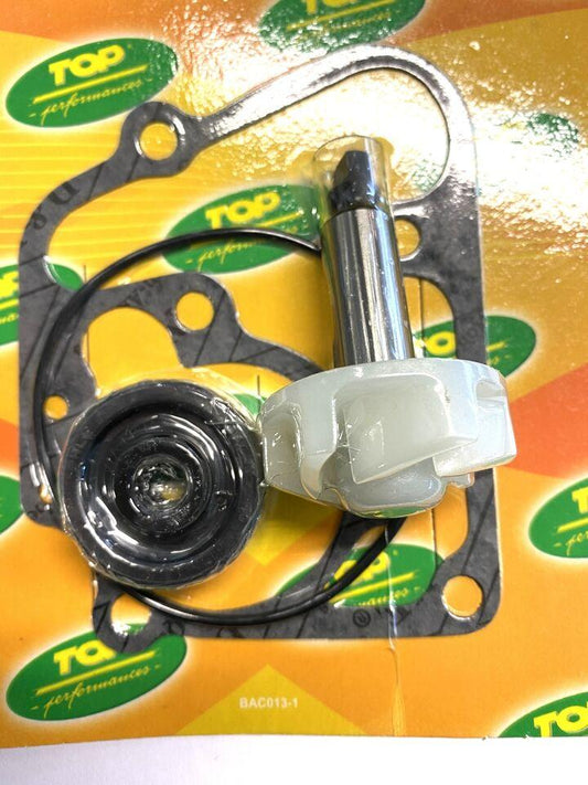 Kit pompa acqua Yamaha Majesty 125-150-Malaguti Madison 125-150