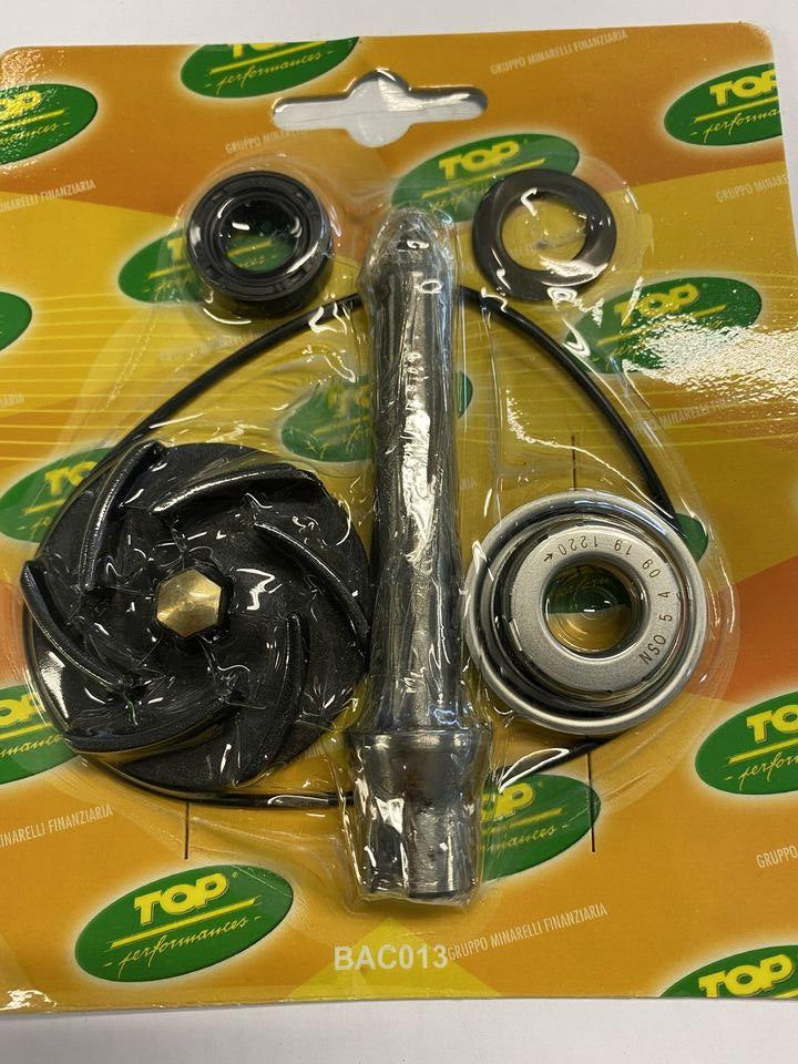 Kit pompa acqua Piaggio Gilera Malaguti 500cc euro 3