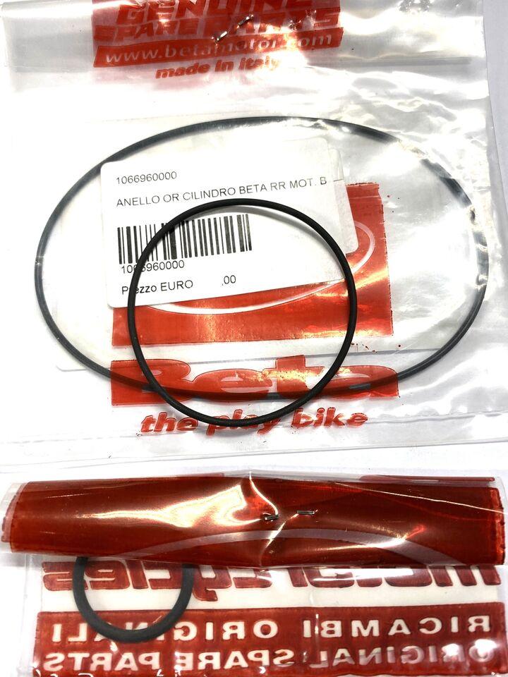 O-Ring testa Beta trial Evo 80cc e Minitrial