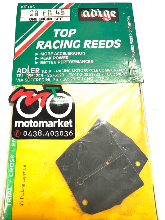 Lamelle carbonio Honda NS-MTX 125cc art.09FN45