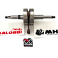 Albero motore Malossi MHR Peugeot Speedfight-X Fight-Vivacity-Buxy-Squab-Looxor 50cc art.538619