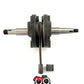 Albero motore Sachs 125cc 5/6V
