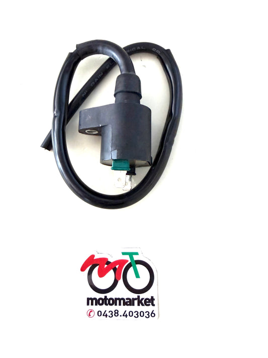 Bobina esterna scooter Peugeot 50-125cc-Sym 50cc-Piaggio 125-150-200cc art.004741