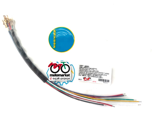 Cavi elettrici per statore volano Vespa PX125-150-200E art.9650