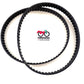 Cinghie distribuzione Ducati Monster-Indiana-Cagiva Elefant art.2765190