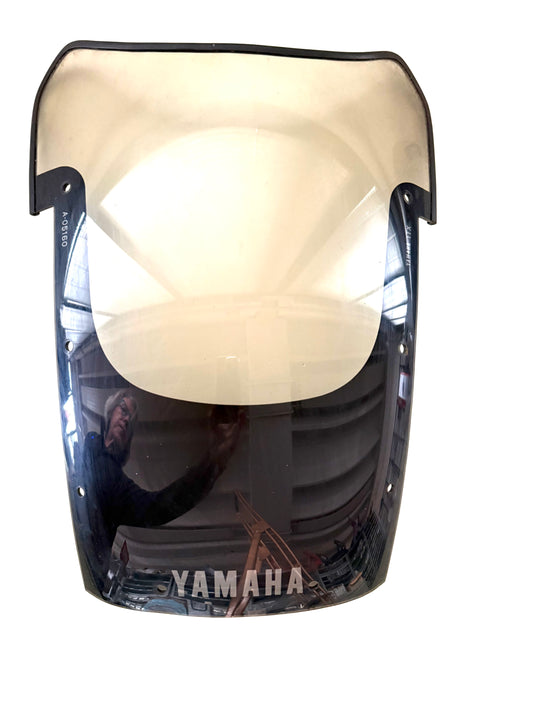 Cupolino Yamaha FJ1200