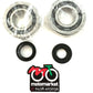 Kit cuscinetti e paraolio albero motore Peugeot 100cc 2T