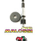 Kit rapporti allungati 15/33 Malossi Peugeot SV-Zenith 50cc art.677121