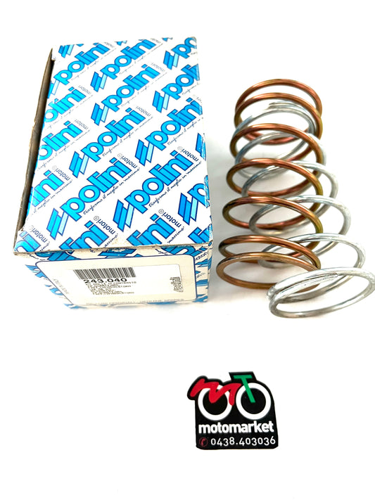 Molle contrasto Polini variatore Piaggio NRG-Quartz-Gilera Typhoon 50 art.243040