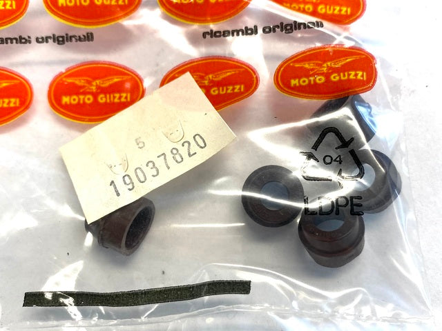 Paraolio valvole Guzzi V35-50-Nevada 750-V7