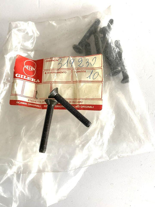 Vite coperchio pompa freno Gilera RX 125-200cc Arizona